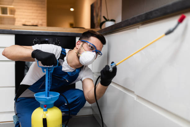 Professional Pest Control in Zephyrhills, FL