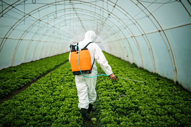 Best Best Pest Control Companies  in Zephyrhills, FL
