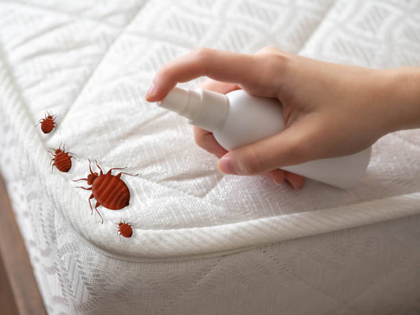 Best Pest Inspection Near Me  in Zephyrhills, FL