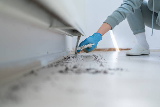 Best Affordable Pest Control Services  in Zephyrhills, FL