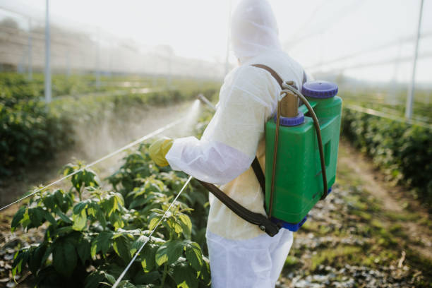 Best Mosquito Control Services  in Zephyrhills, FL